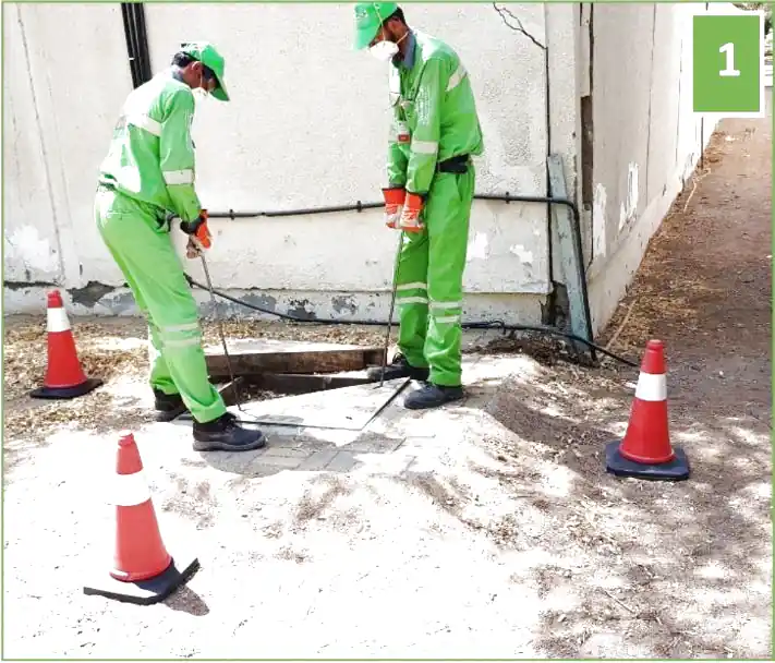 Diệt gián ngoài trời
