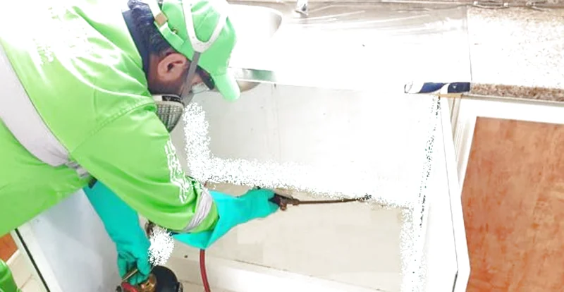Diệt gián - Các khu vực phun tồn lưu trong tủ bếp
