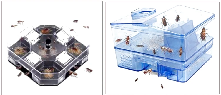 Bả mồi diệt gián