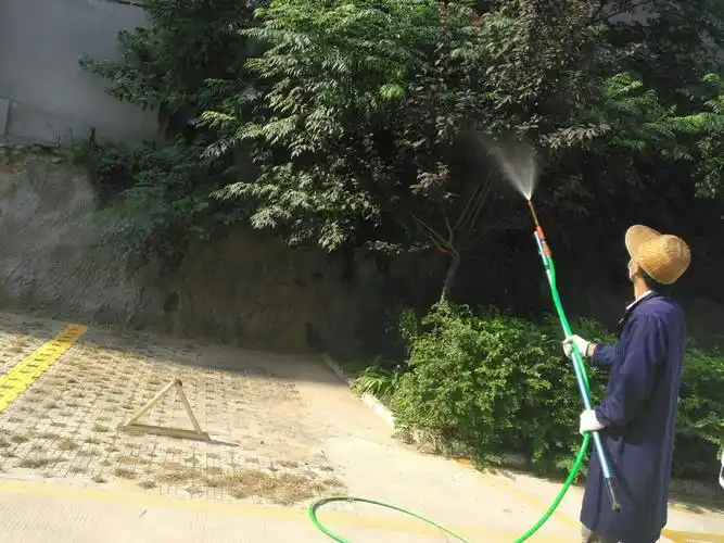 Phun thuốc trừ sâu róm, sâu đo, bọ nẹt tại Đà Nẵng