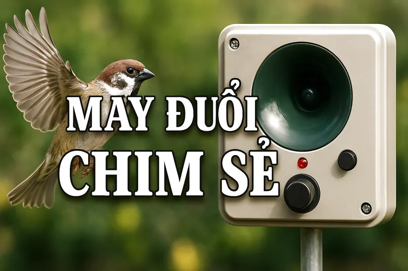 Máy đuổi chim sẻ